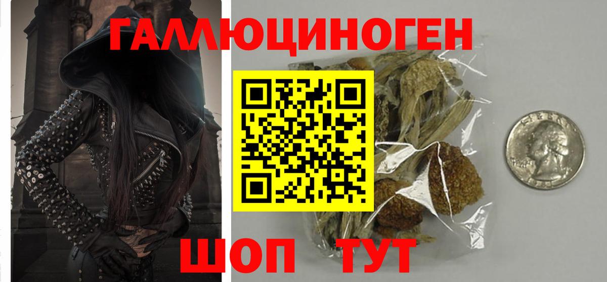 Калуга  Псилоцибиновые грибы GOLDEN TEACHER  Псилоцибиновые грибы Psilocybe  Вход с VPN 